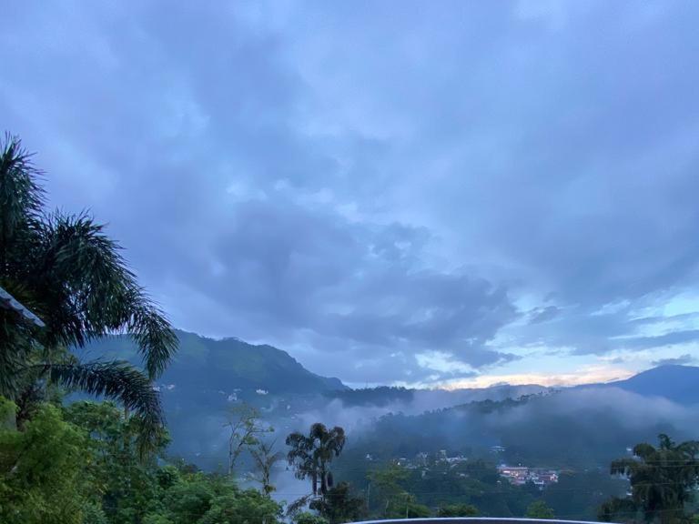 Munnar Blue Mist Bed & Breakfast Eksteriør bilde