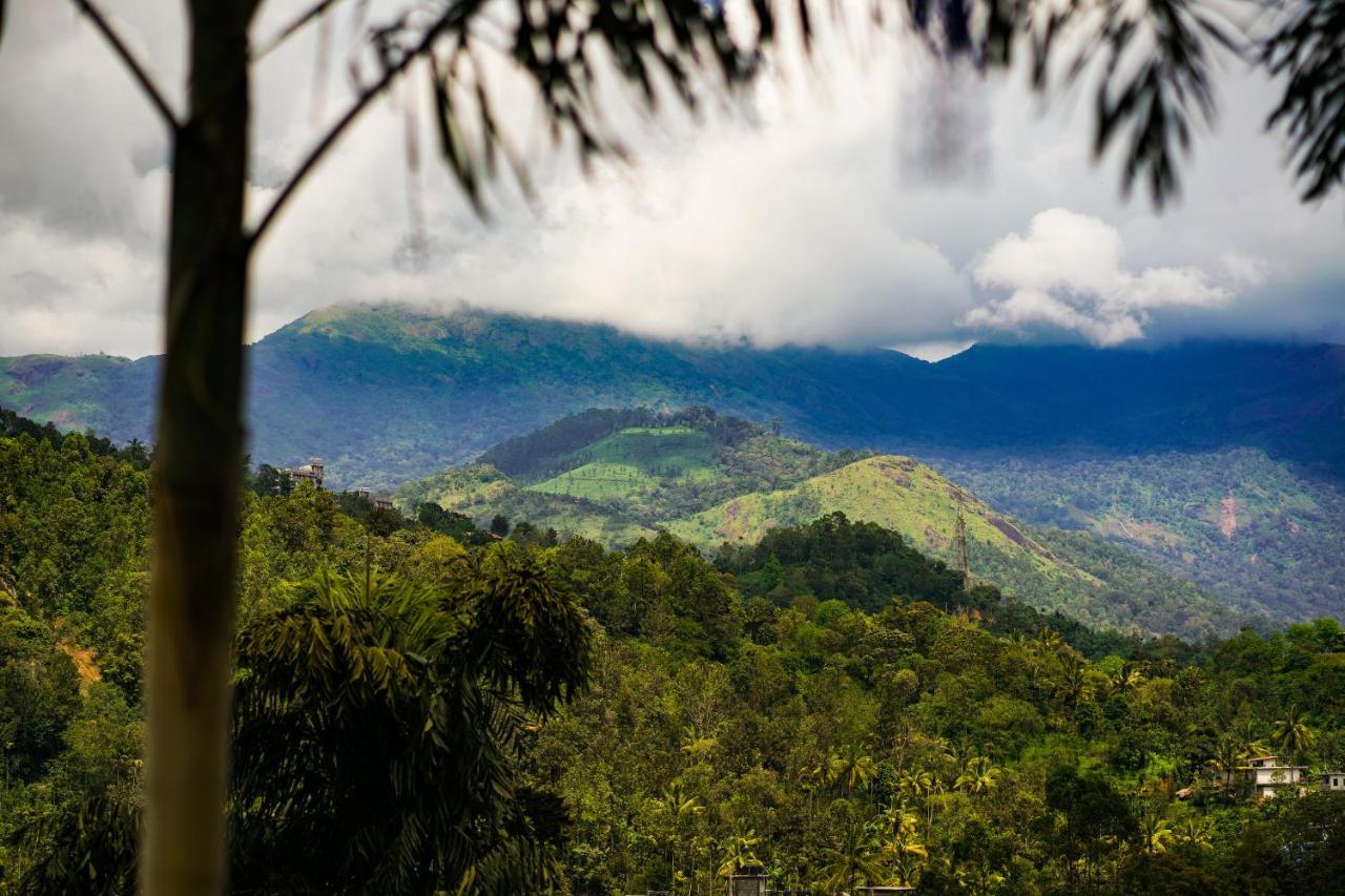 Munnar Blue Mist Bed & Breakfast Eksteriør bilde