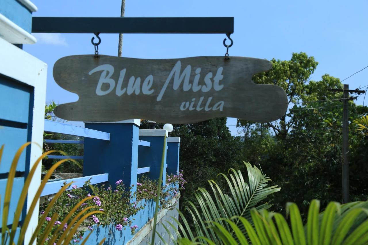 Munnar Blue Mist Bed & Breakfast Eksteriør bilde